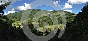 Farming landscape panorama