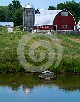 Farming Landscape with pond barn and silo