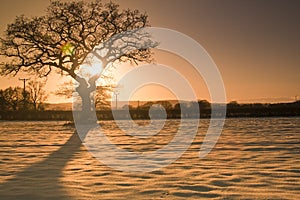 Farming landscape winter sun