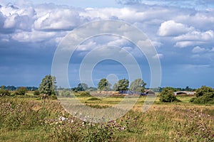 Farming on the Norfolk Broads