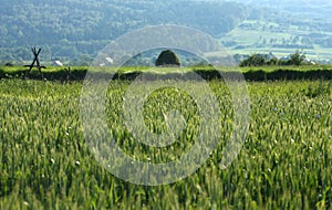 Farming in Poland