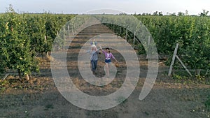 Farming, rural husband and wife with child run through rows in apple orchard