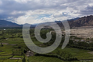 Farming settlement in desert plains of Ladakh photo