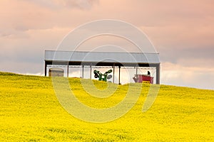 Farming shed in canola field