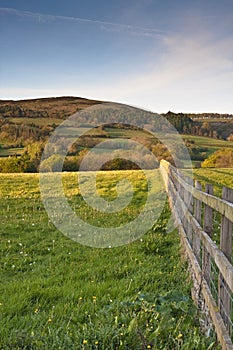 Farming in somerset