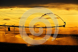 Farming Sprinklers in Field Irrigation and Watering of Crops Pivots Pivot Lines