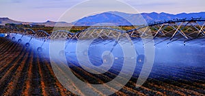 Farming Sprinklers in Field Irrigation and Watering of Crops Pivots Pivot Lines