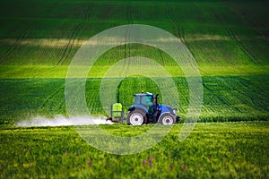 Farming tractor plowing and spraying on green wheat field