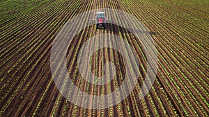 Farming tractor plowing and spraying on wheat field