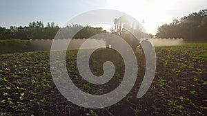 Farming tractor spraying on field with sprayer, herbicides and pesticides at sunset. Farm machinery spraying insecticide