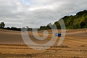 Farming Wiltshire
