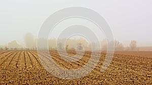 Farmlad with stubbles in the mist in the flemish countryside