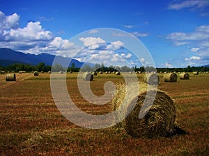 Farmland photo