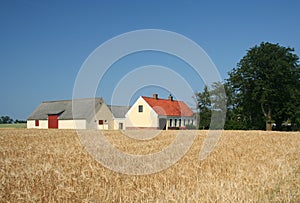 Farmland