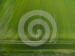 Farmland from above