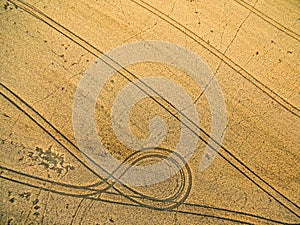 Farmland from above - aerial image