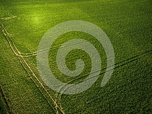 Farmland from above - aerial image