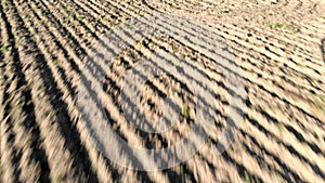 Farmland aerial view with plowed field and furrows that draw the dry earth