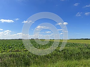 Farmland around Alde Leie in Friesland