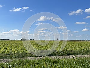 Farmland around Alde Leie in Friesland