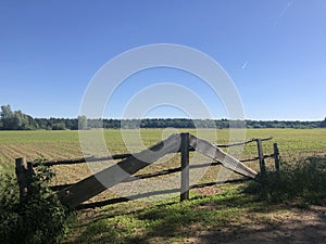 Farmland around Junne in Overijssel