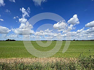 Farmland around Nij Beets