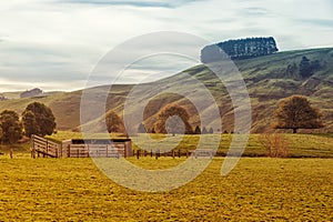 Farmland in Australia