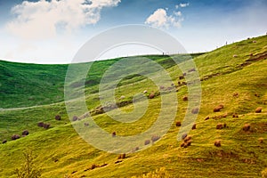 Farmland in Australia