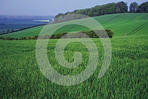 Farmland The Barton Hills photo