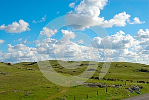 Farmland in California USA