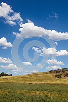 Farmland Country NSW - Australia