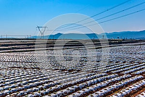 A Farmland is covered by plastic sheets to keep the moisture for the seedling. At Red Land, Dongchuan, Kunming, Yunnan, China.