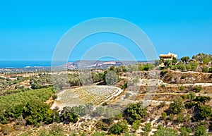 The farmland of Crete, Rethymno suburb, Greece