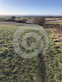 Farmland with a crop of grass , North Yorkshire, England, United Kingdom
