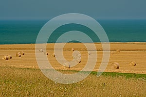 Farmland with cylindrical hay stacks on the French opal coast