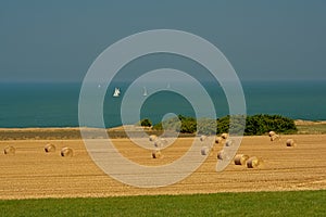 Farmland with cylindrical hay stacks on the French opal coast