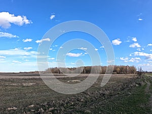 Farmland in the early spring. Sunny spring landscape