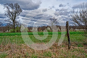 Farmland in early springtime