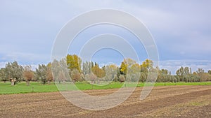 Farmland and trees under a cloudy autumn sky in the Flemish countryside photo