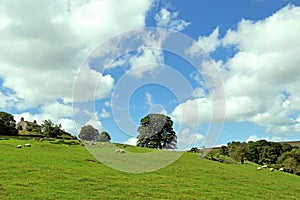 Farmland in Fewston, in the Yorkshire Dales, England.