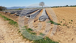 Farmland in the fields