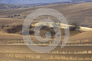 Farmland at the foot of Tianshan Mountain in late autumn, adobe rgb