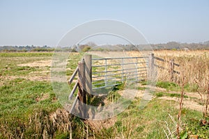 Farmland gate. Country walk along rural Norfolk Broads farm land