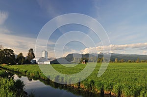 Farmland and Golden Ears Mountain