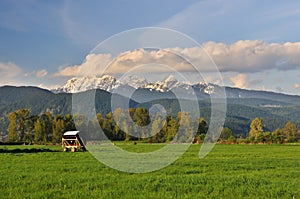 Farmland and Golden Ears Mountain, Pitt Meadows photo