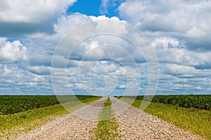 Farmland gravel road