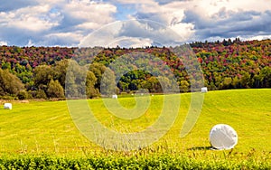 Farmland with Hay bales in Vermont landscape in early Autumn