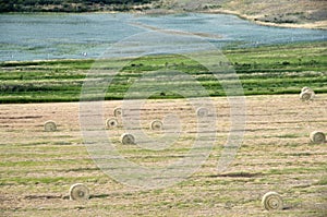 Farmland Haystack america