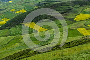 Farmland in the hillside