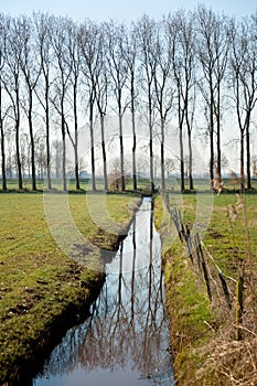 Farmland in Holland